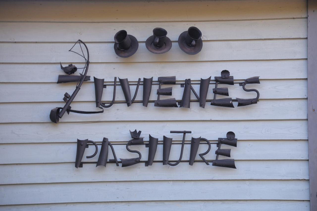 Zuvienes Pasiure Bed & Breakfast Rubikiai Exterior photo